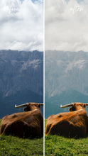 Load image into Gallery viewer, Italy Film Preset Pack
