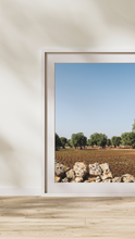 Load image into Gallery viewer, Olive Groves of Borgo Egnazia Digital Download
