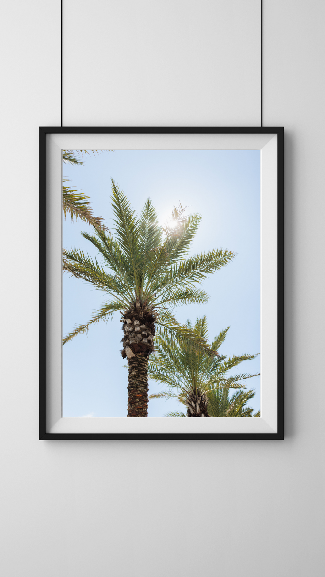 Sunny Palms Digital Download