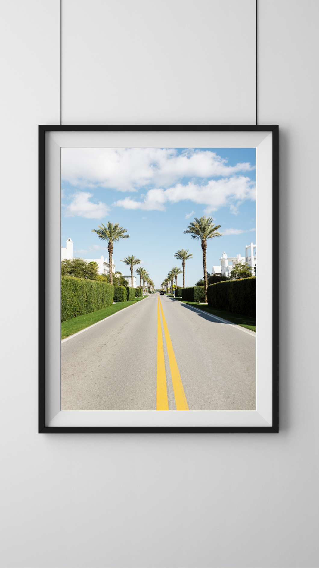 Tropical Boulevard Digital Download