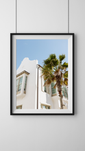 Load image into Gallery viewer, Alys Beach Palm Digital Download
