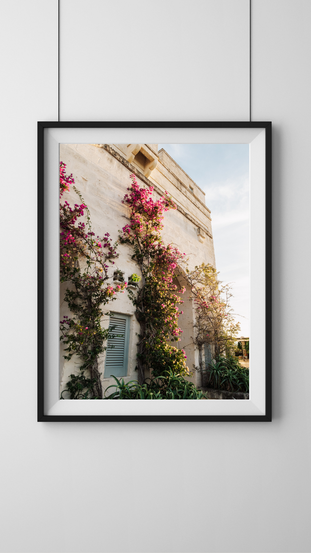 Bougainvillea on the Borgo Digital Download