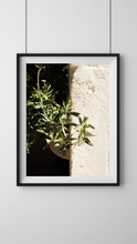 Load image into Gallery viewer, Light and Shadow Digital Download
