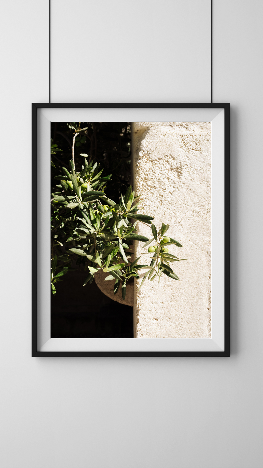 Light and Shadow Digital Download