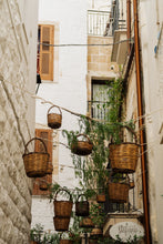 Load image into Gallery viewer, Hanging Baskets Digital Download
