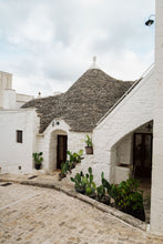 Load image into Gallery viewer, Cacti of Alberobello Digital Download
