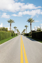 Load image into Gallery viewer, Tropical Boulevard Digital Download
