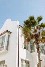 Load image into Gallery viewer, Alys Beach Palm Digital Download
