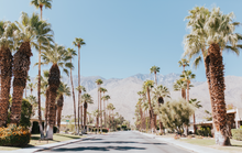 Load image into Gallery viewer, Palm Tree Avenue Digital Download
