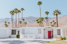 Load image into Gallery viewer, Palm Springs Paradise Digital Download
