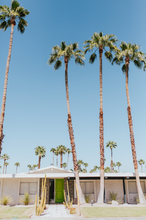 Load image into Gallery viewer, Palm Springs Houses Digital Download Set
